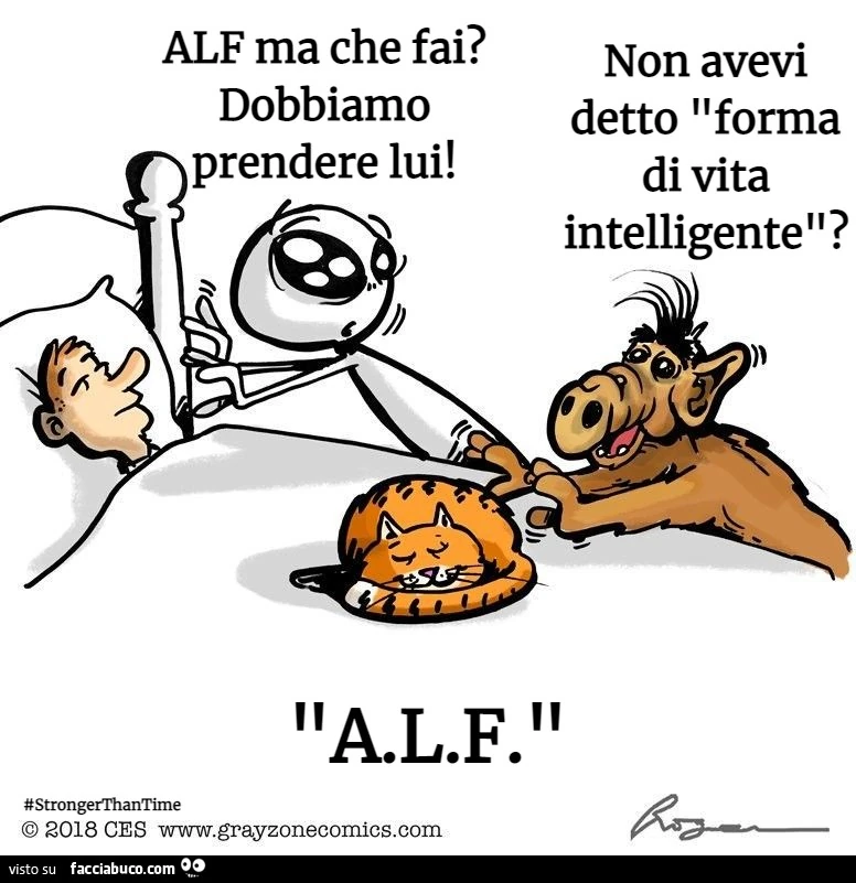 Alf ma che fai? Dobbiamo prendere lui! Non avevi detto forma di vita intelligente?