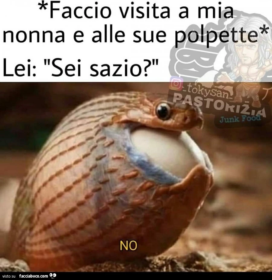Vaccata