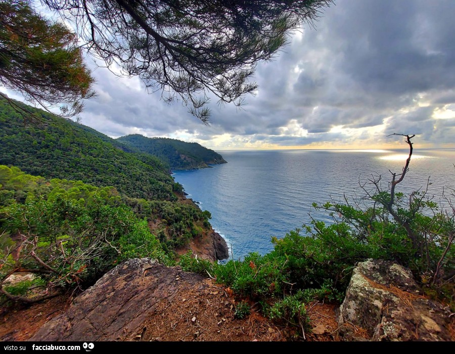 Liguria