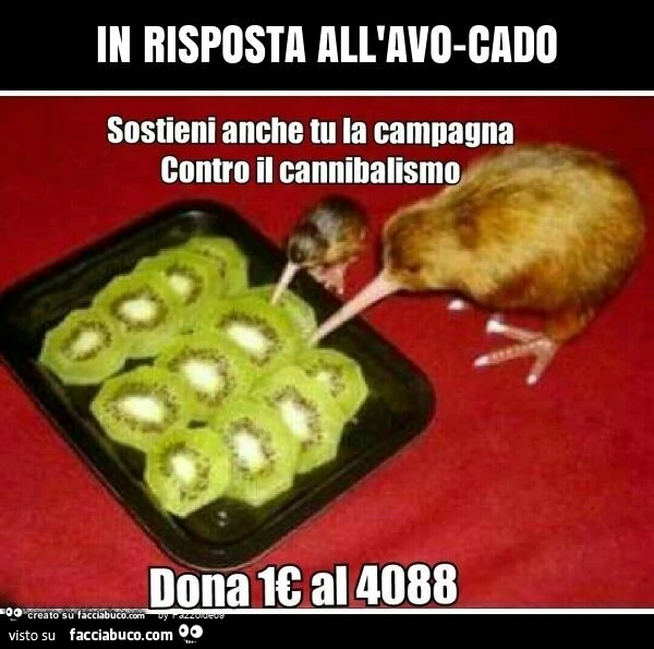 In risposta all'avo-cado