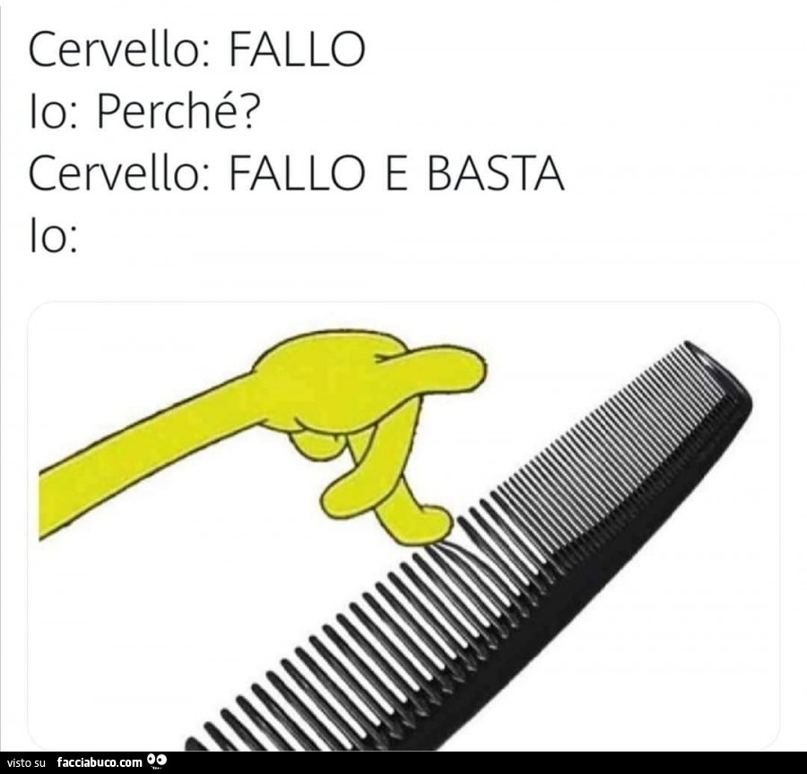 Cervello: fallo. Io: perché? Cervello: fallo e basta