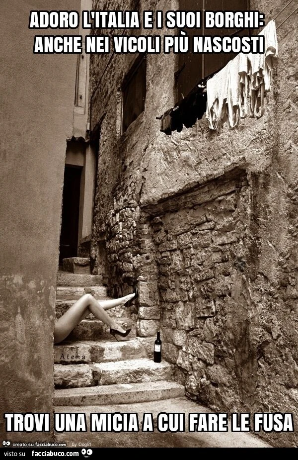 Adoro l'italia e i suoi borghi: anche nei vicoli più nascosti trovi una micia a cui fare le fusa