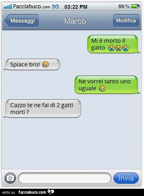 Mi è morto il gatto. Spiace bro! Ne vorrei tanto uno uguale. Cazzo te ne fai di 2 gatti morti?