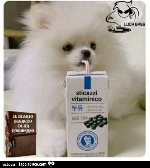 Vaccata