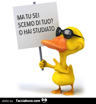 Ma tu sei scemo di tuo? O hai studiato