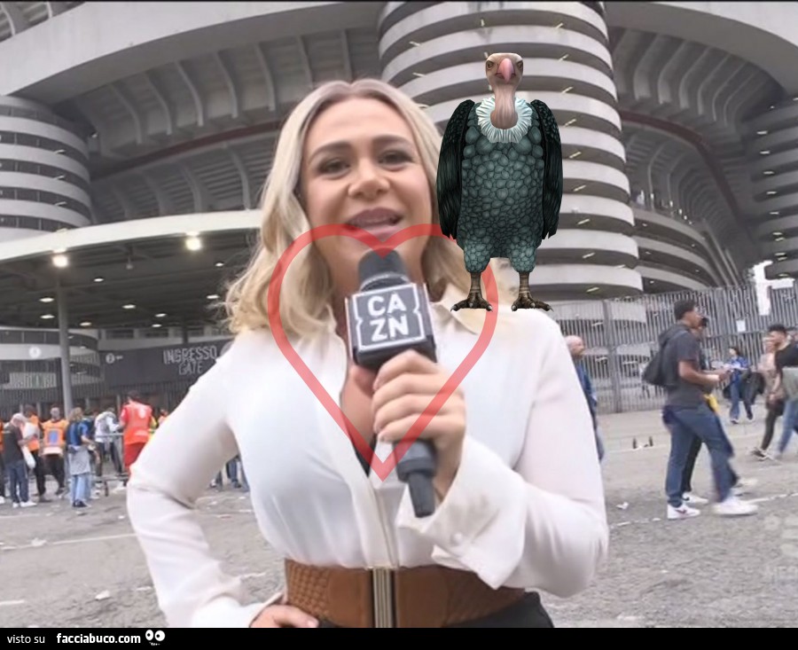 Vaccata