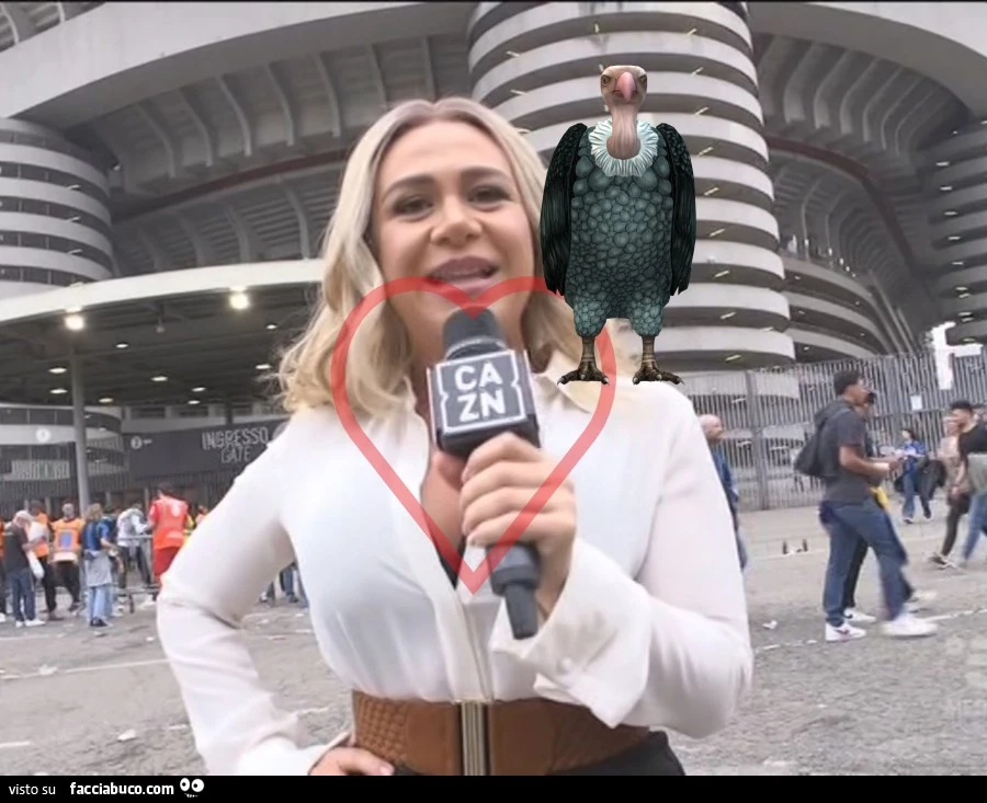 Vaccata