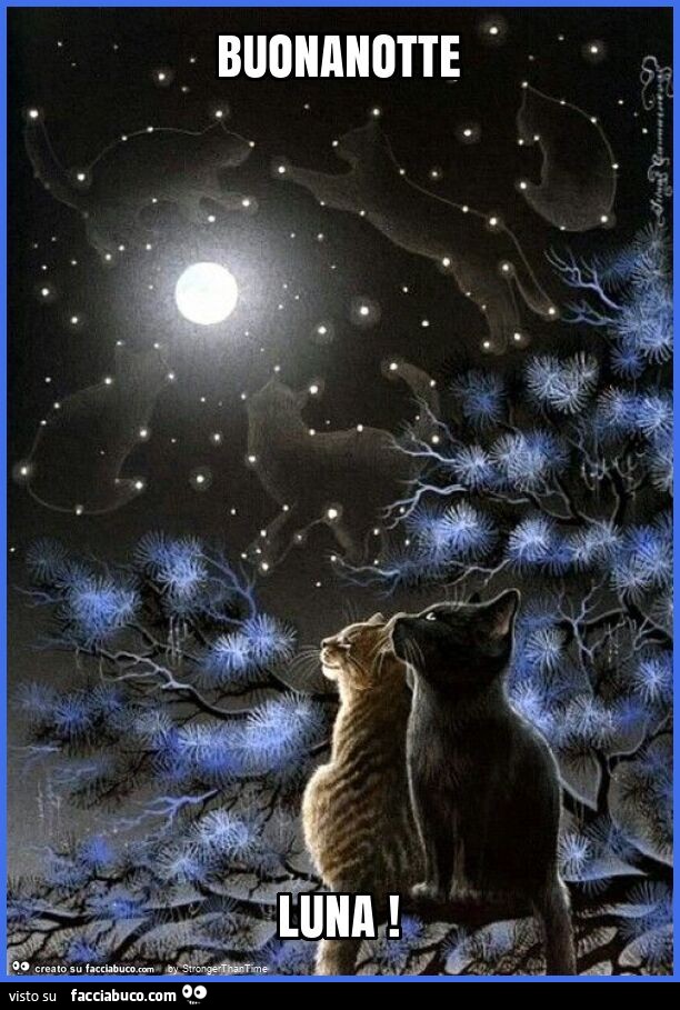 Buonanotte luna
