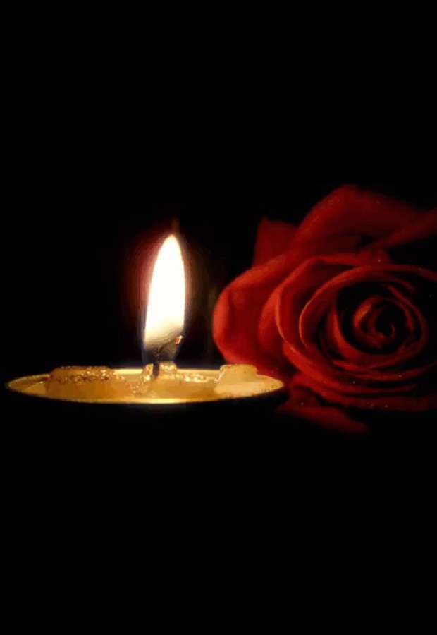 Rosa rossa e candela accesa