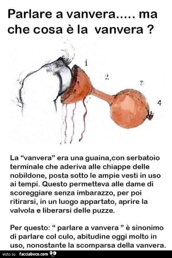 Parlare a vanvera&hellip; ma che cosa è la vanvera?