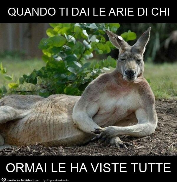 Quando ti dai le arie di chi ormai le ha viste tutte