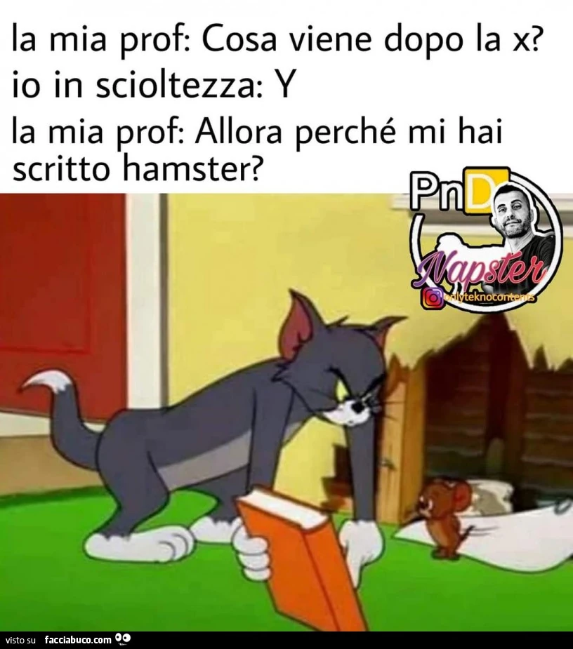 Vaccata