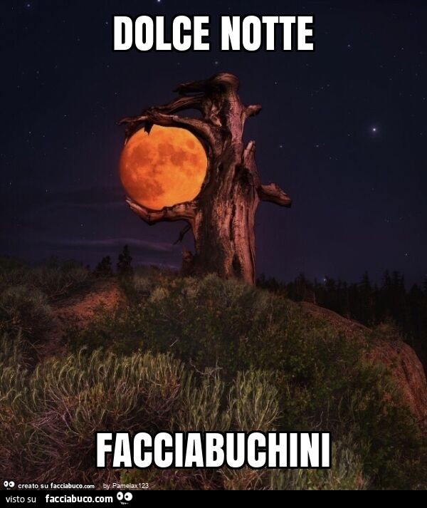 Dolce notte facciabuchini