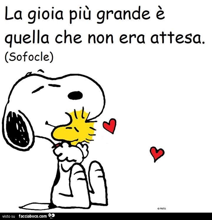La gioia più grande è quella che non era attesa. Sofocle