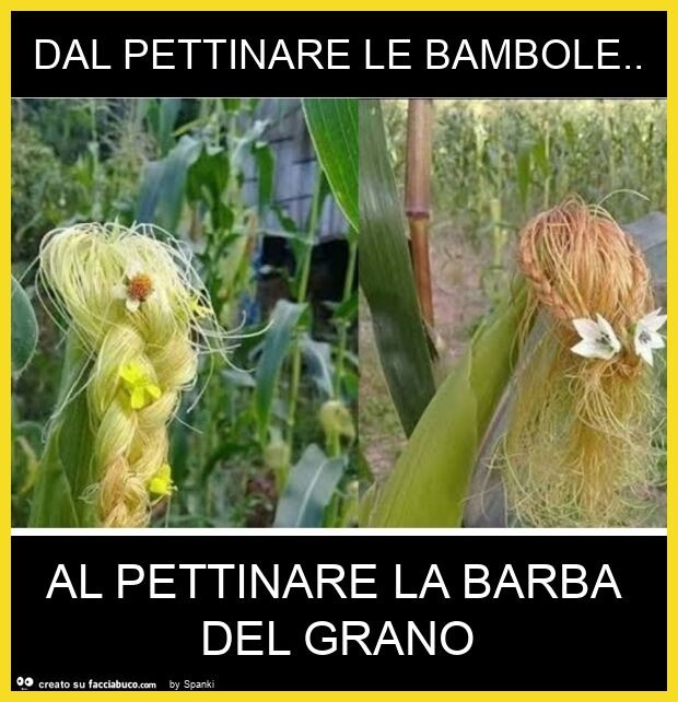Dal pettinare le bambole. Al pettinare la barba del grano