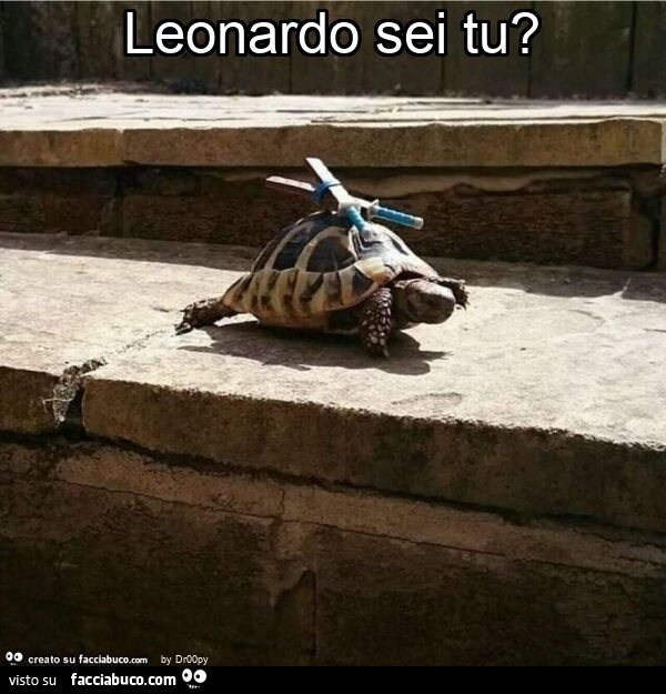 Leonardo sei tu?