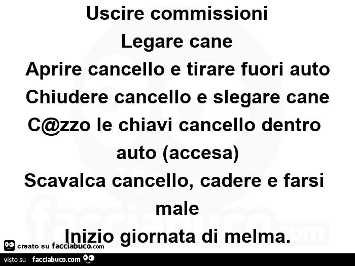 Uscire commissioni legare cane aprire cancello e tirare fuori auto chiudere cancello e slegare cane c@zzo le chiavi cancello dentro auto (accesa) scavalca cancello, cadere e farsi male inizio giornata di melma