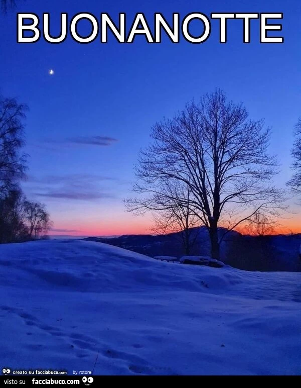 Paesaggio innevato. Buonanotte