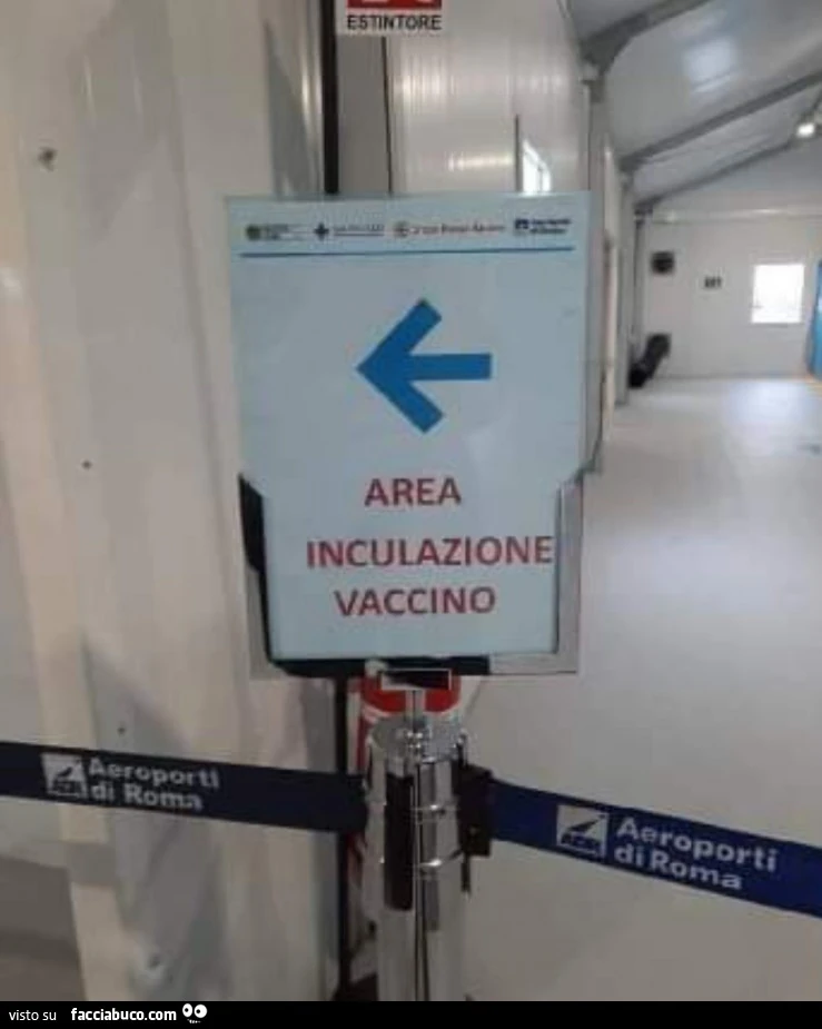 Vaccata