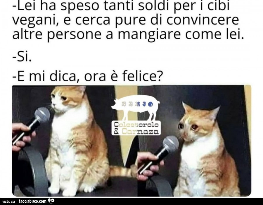 Vaccata