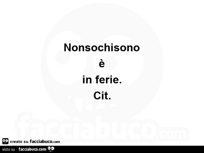 Nonsochisono è in ferie. Cit