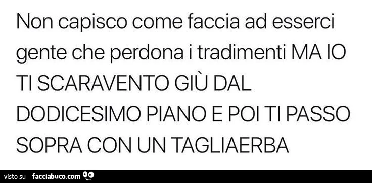 Non capisco come faccia ad esserci gente che perdona i tradimenti ma io ti scaravento giù dal dodicesimo piano e poi ti passo sopra con un tagliaerba