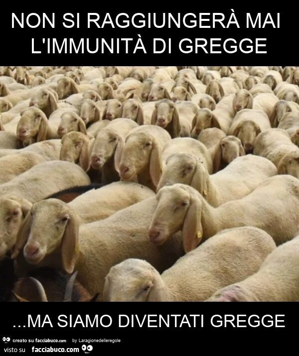 Non si raggiungerà mai l'immunità di gregge&hellip; ma siamo diventati gregge
