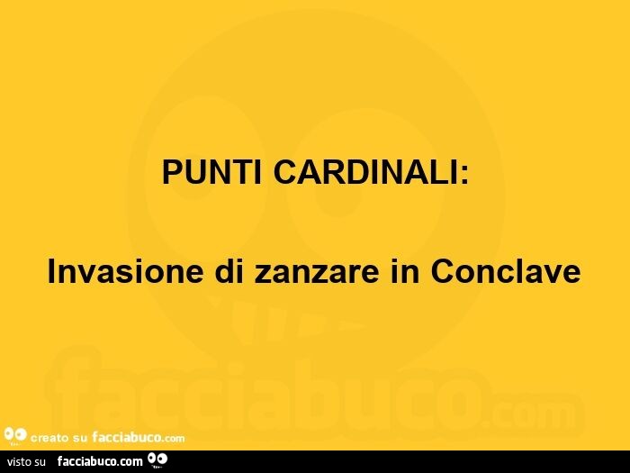 Punti cardinali: invasione di zanzare in conclave