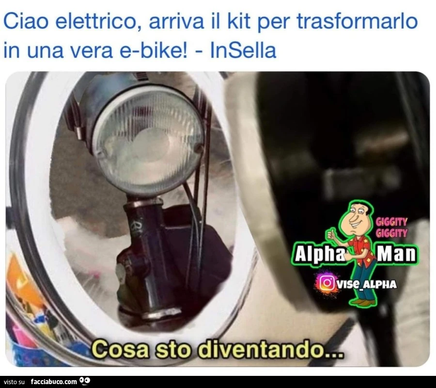 Vaccata