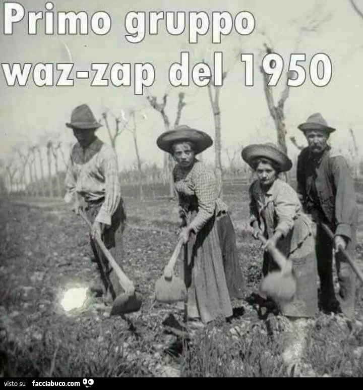 Vaccata