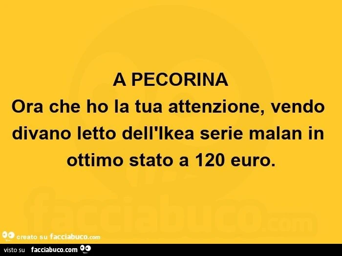 A pecorina ora che ho la tua attenzione, vendo divano letto dell'ikea serie malan in ottimo stato a 120 euro