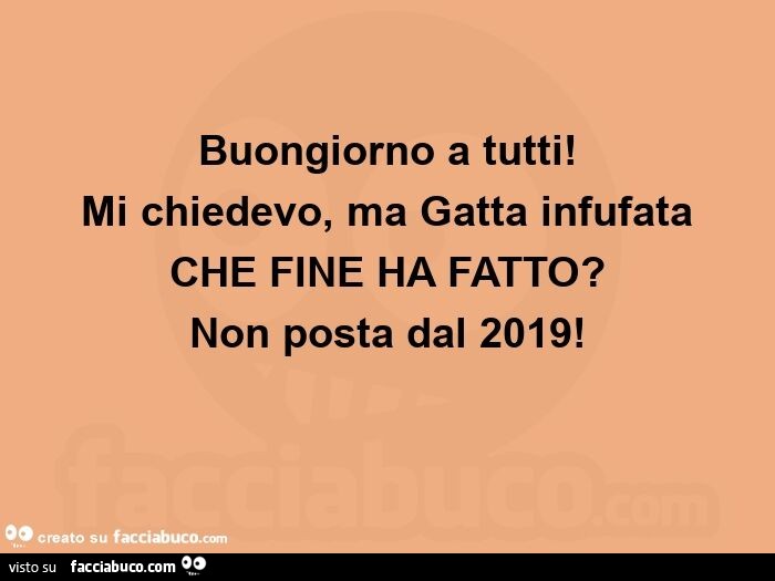 Buongiorno a tutti! Mi chiedevo, ma gatta infufata che fine ha fatto? Non posta dal 2019