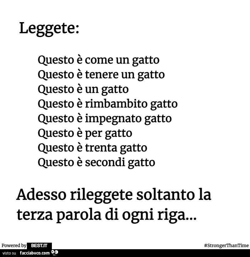 Leggete: questo è come un gatto questo è tenere un gatto questo è un gatto questo è rimbambito gatto questo è impegnato gatto questo è per gatto questo è trenta gatto questo è secondi gatto adesso rileggete soltanto la terza parola di ogni riga
