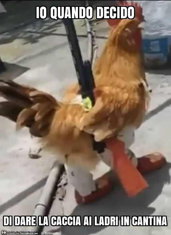 Io quando decido di dare la caccia ai ladri in cantina