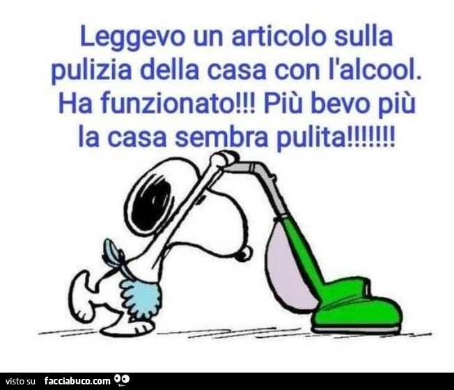 Leggevo un articolo sulla pulizia della casa con l'alcool. Ha funzionato! Più bevo più la casa sembra pulita