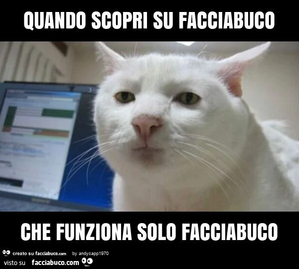 Quando scopri su facciabuco che funziona solo facciabuco