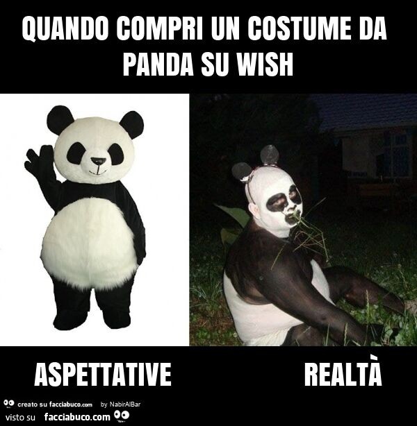Quando compri un costume da panda su wish aspettative realtà