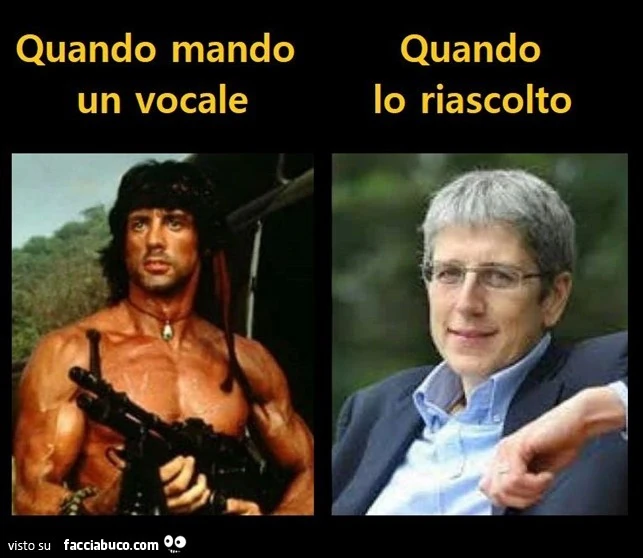 Vaccata
