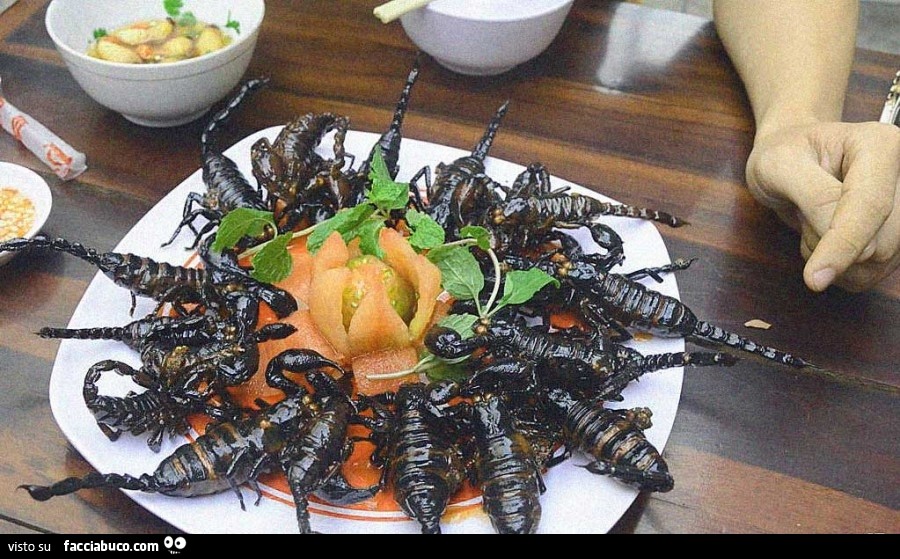 Vaccata