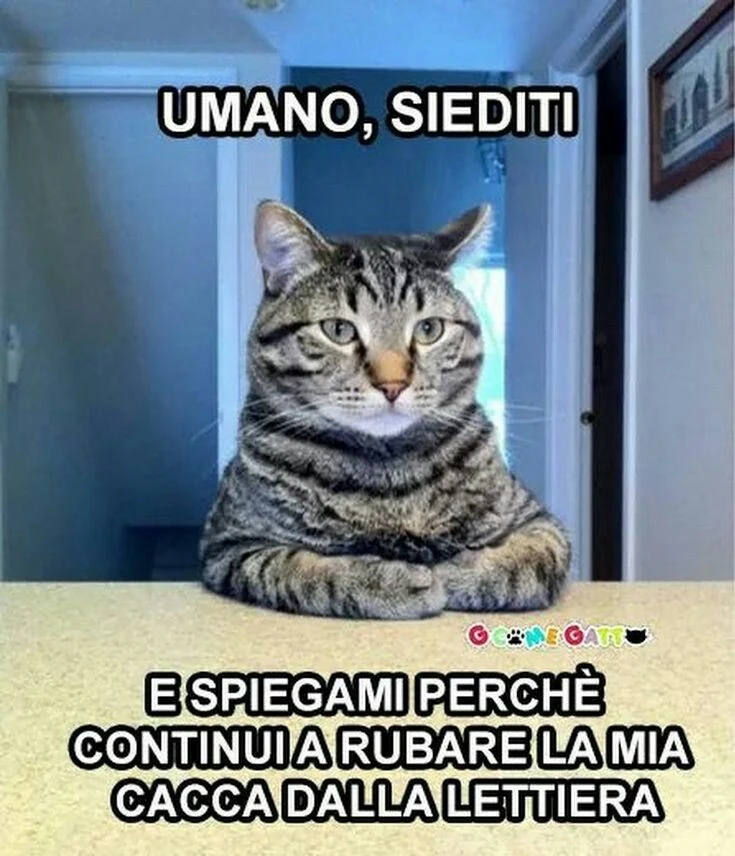 Sei un ladro di merda?