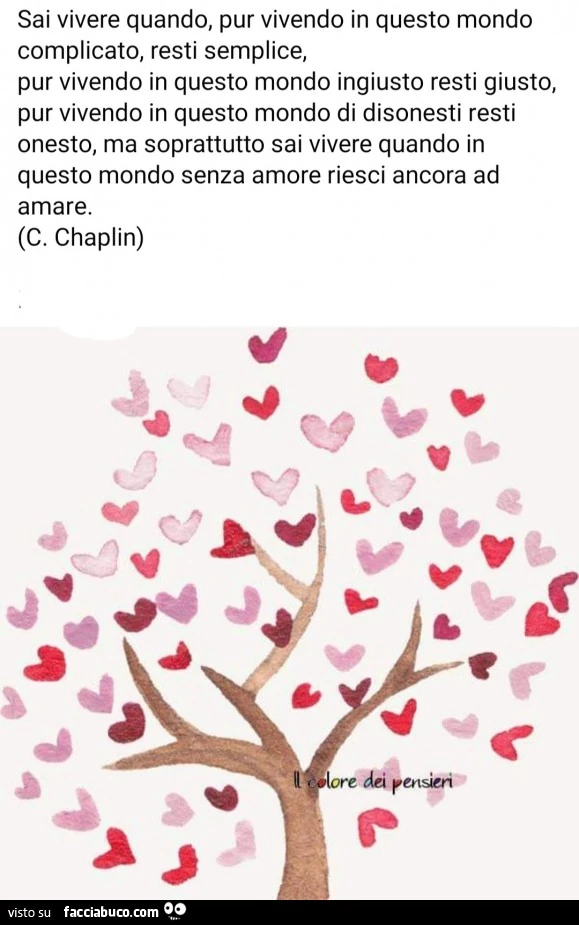 Sai vivere quando, pur vivendo in questo mondo complicato, resti semplice, pur vivendo in questo mondo ingiusto resti giusto, pur vivendo in questo mondo di disonesti resti onesto, ma soprattutto sai vivere quando in questo mondo senza amore riesci ancora