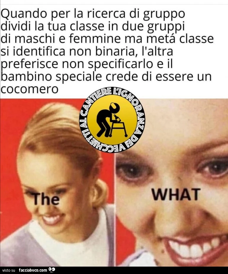 Vaccata