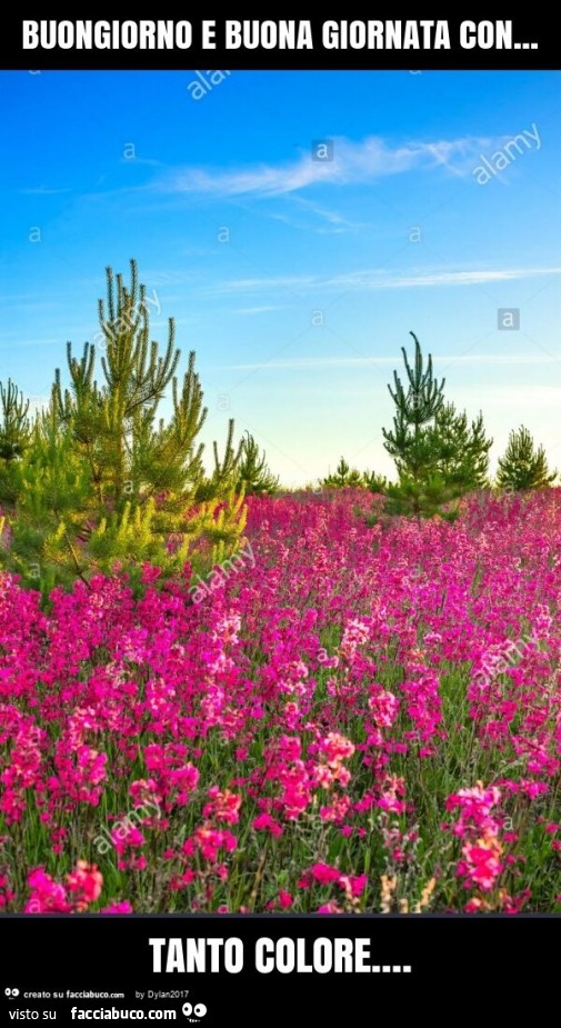 Buongiorno e buona giornata con… tanto colore