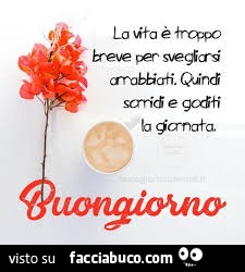La vita è troppo breve per svegliarsi arrabbiati. Quindi sorridi e goditi la giornata. Buongiorno