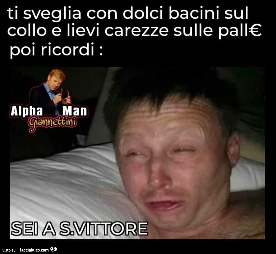 Vaccata