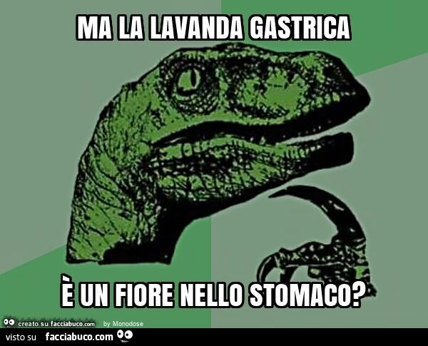 Ma la lavanda gastrica è un fiore nello stomaco?