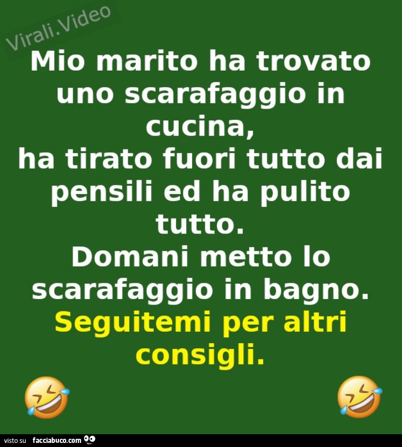 Mio marito ha trovato uno scarafaggio in cucina, ha tirato fuori tutto dai pensili ed ha pulito tutto. Domani metto lo scarafaggio in bagno. Seguitemi per altri consigli