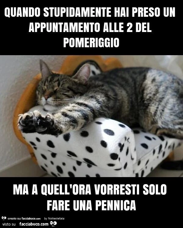 Quando stupidamente hai preso un appuntamento alle 2 del pomeriggio ma a quell'ora vorresti solo fare una pennica