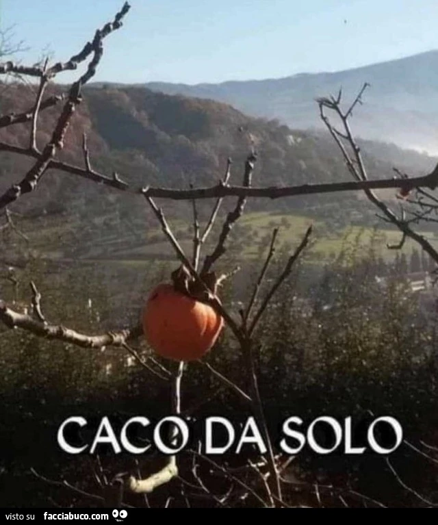 Caco da solo