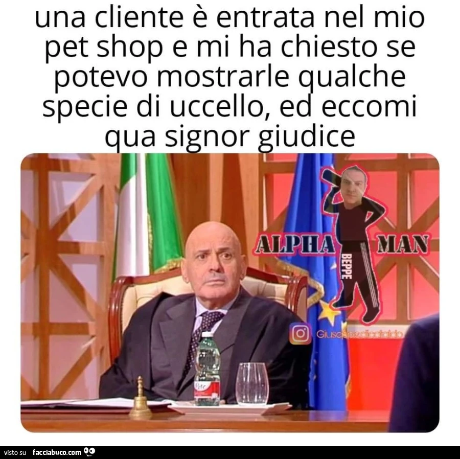 Vaccata